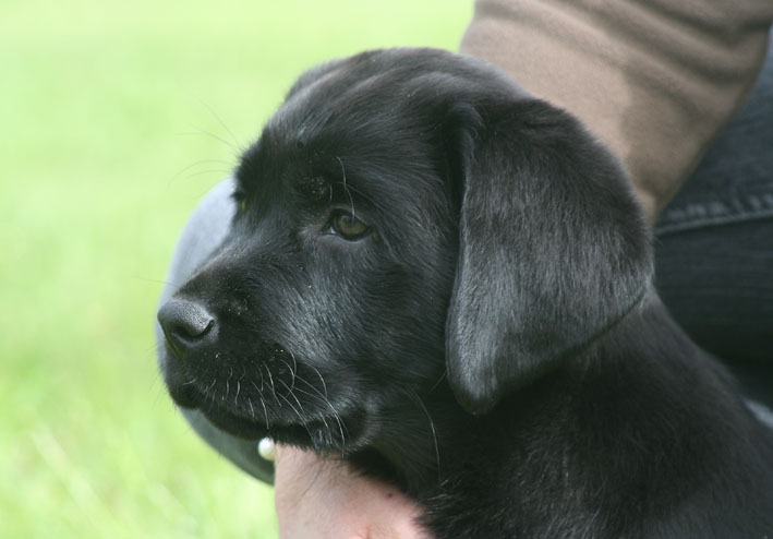 Edgar